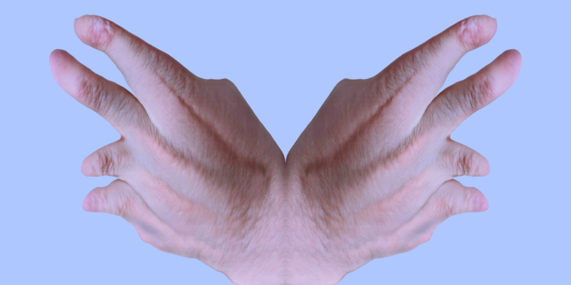 A pair of hands that appear to have partially missing fingers are displayed as if they form wings.